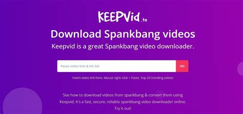 spankbang porn downloader|Best Online SpankBang Video Downloader